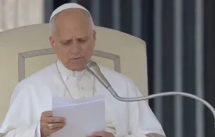 O papa Leão XIV na audiência geral de hoje (15), no Vaticano.