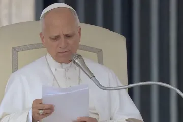 Leão XIV no Vaticano na audiência geral de 15 de outubro de 2025