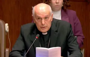 O observador da Santa Sé junto à Organização das Nações Unidas (ONU), arcebispo Gabriele Caccia.