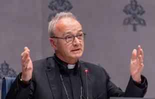 O presidente da Pontifícia Comissão para a Tutela dos Menores, Thibault Verny.