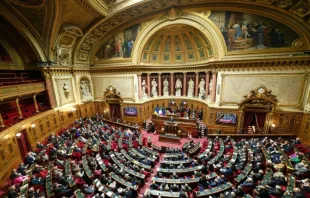 Senado da França, em Paris, em 1° de fevereiro de 2023.