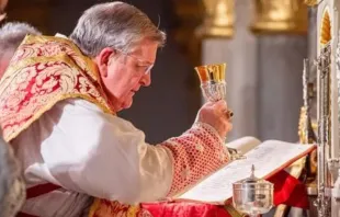 Cardeal Raymond Burke celebra a missa em latim.