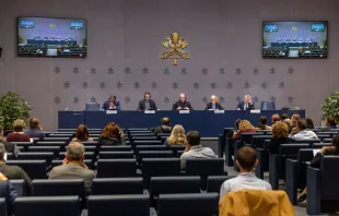 Jornalistas credenciados junto à Santa Sé em apresentação do relatório da Pontifícia Comissão para a Tutela dos Menores.