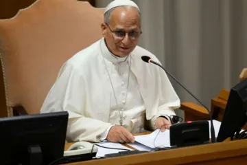 Papa Leão XIV recebe jesuítas no Vaticano