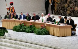 O papa Leão XIV discursa a participantes do Jubileu das Equipes Sinodais e Organismos Participativos em 24 de outubro de 2025, na Aula Paulo VI, no Vaticano.