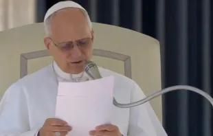 Papa Leão XIV fala sobre o Mistério Pascal na audiência geral de hoje (5) no Vaticano.