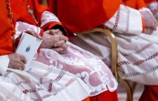 Cardeais acompanham cerimônia no consistório público ordinário para a criação de cardeais na basílica de São Pedro, no Vaticano, em 7 de dezembro de 2024.
