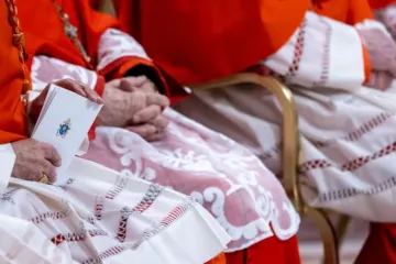 Cardeais acompanham cerimônia no consistório público ordinário para a criação de cardeais na basílica de São Pedro, no Vaticano, em 7 de dezembro de 2024