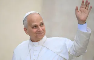 Papa Leão XIV. Imagem referencial.