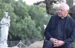 Cardeal Gerhard Müller.