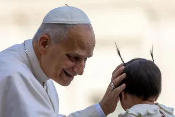 Leão XIV cumprimenta bebê na audiência geral de 12 de novembro de 2025 no Vaticano