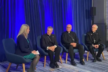 Maura Moser modera discussão sobre migração com bispos americanos em 11 de novembro de 2025