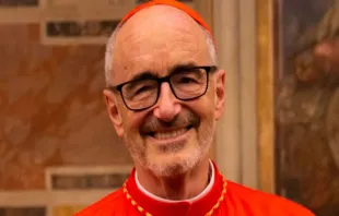 Cardeal Michael Czerny.