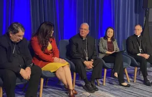 Organizadores do próximo diálogo digital do papa Leão XIV com jovens, em 21 de novembro, na Conferência Nacional da Juventude Católica em Indianápolis, EUA, falam com a imprensa no local da Assembleia Plenária de Outono da Conferência da USCCB, em Baltimore, EUA, em 12 de novembro de 2025.