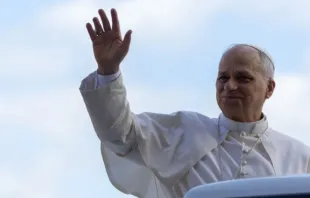 Papa Leão XIV em audiência geral do Vaticano em 25 de outubro de 2025.