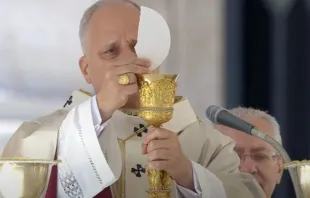 Papa Leão XIV na missa hoje (23).
