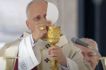 Papa Leão XIV na missa em 23 de novembro de 2025