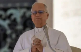 Papa Leão XIV.