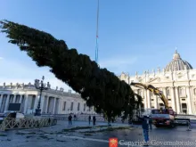 Operários montam ontem (27) a árvore de Natal do Vaticano para este ano na praça de São Pedro, no Vaticano.