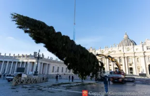 Operários montam ontem (27) a árvore de Natal do Vaticano para este ano na praça de São Pedro, no Vaticano.