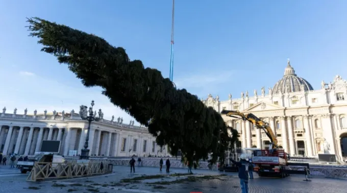 Operários montam a árvore de Natal do Vaticano para 2025 na Praça de São Pedro, na quinta-feira, 27 de novembro de 2025 ?? 