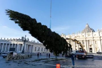 Operários montam a árvore de Natal do Vaticano para 2025 na Praça de São Pedro, na quinta-feira, 27 de novembro de 2025