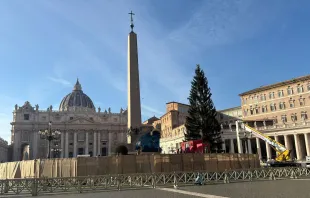 A árvore de Natal e o presépio estão prontos para serem inaugurados na praça de São Pedro, no Vaticano.