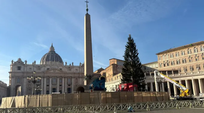 A árvore de Natal e o presépio estão prontos para serem inaugurados na praça de São Pedro, no Vaticano ?? 