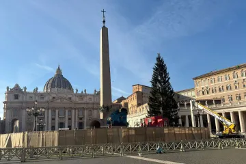 A árvore de Natal e o presépio estão prontos para serem inaugurados na praça de São Pedro, no Vaticano
