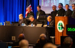 Assembleia plenária da Conferência dos Bispos Católicos dos EUA (USCCB, na sigla em inglês) em 11 de novembro de 2025, no Baltimore Marriott Waterfront, Baltimore, EUA.