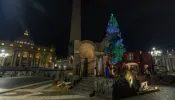 Vaticano inaugura presépio e acende árvore de Natal na praça de São Pedro