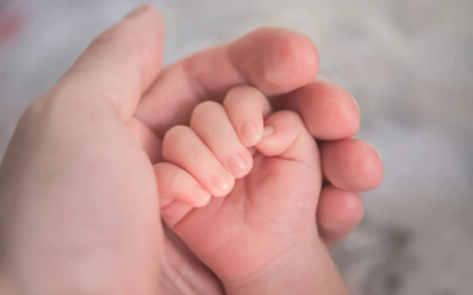 Comissão de bispos rejeita aborto financiado pela União Europeia