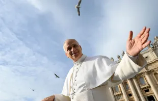 Papa Leão XIV. Imagem referencial.