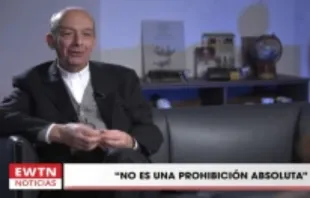 Instrução sobre título de Corredentora não é uma proibição absoluta, diz especialista da Santa Sé.