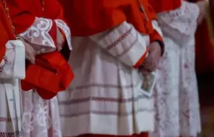 Cardeais participam de consistório público ordinário para a criação de novos cardeais, em 7 de dezembro de 2024.