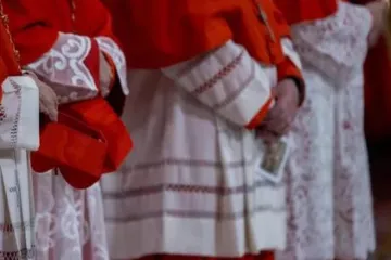 Cardeais participam de consistório público ordinário para a criação de novos cardeais, em 7 de dezembro de 2024