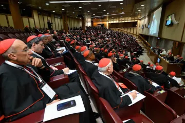 Cardeais se reúnem com o papa Leão XIV na terceira sessão do consistório em 8 de janeiro de 2026, no Vaticano