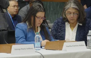 Martha Patricia Molina, advogada nicaraguense e pesquisadora católica, insta a Comissão dos EUA para a Liberdade Religiosa Internacional (USCIRF, na sigla em inglês) a “voltar seus olhos para a Nicarágua” em audiência ontem (13);
