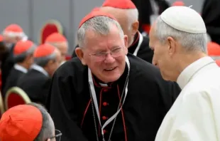 O arcebispo de Porto Alegre, cardeal dom Jaime Spengler, presidente da Conferência Nacional de Bispos do Brasil (CNBB), cumprimenta o papa Leão XIV.