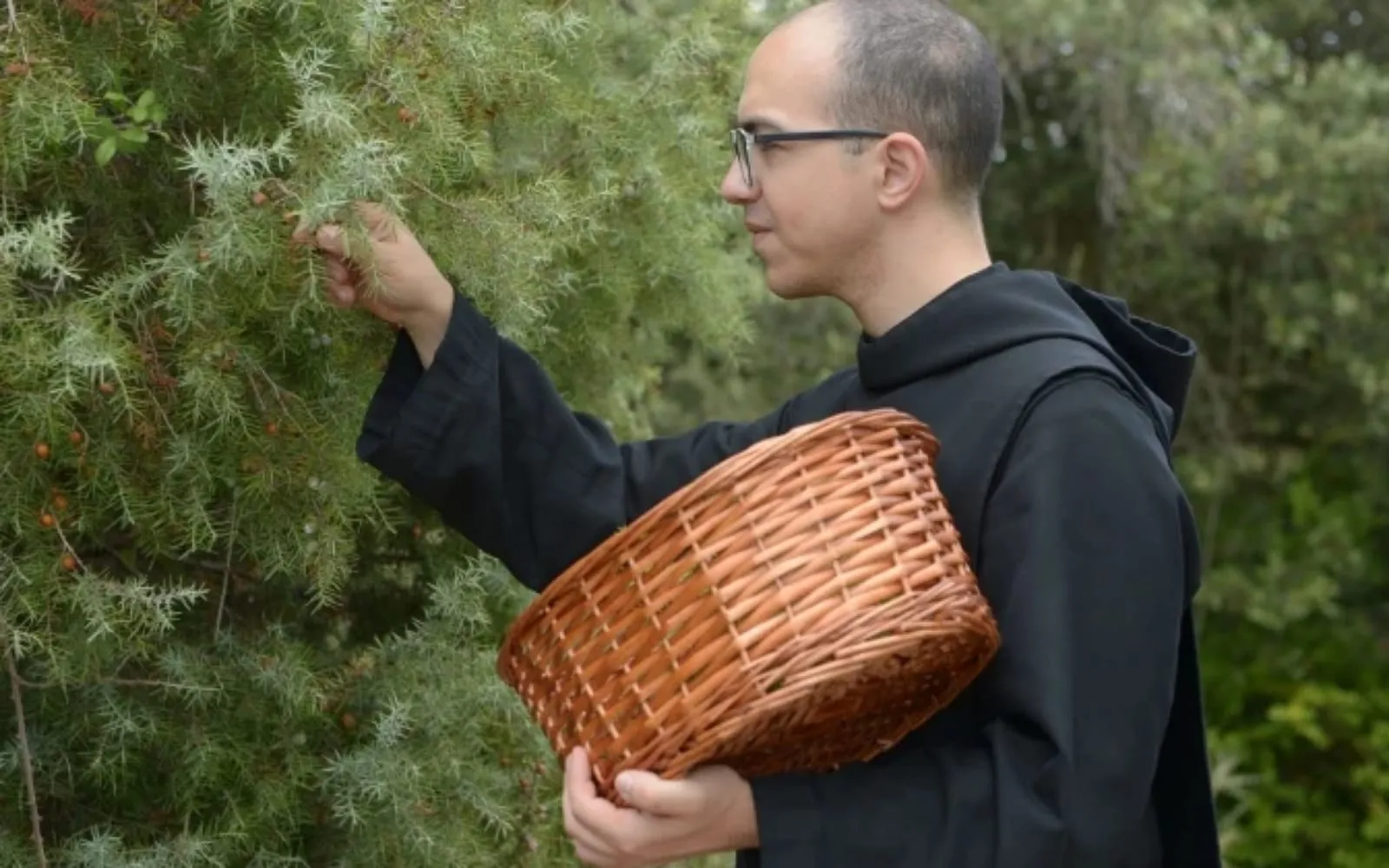 Monges espanhóis resgatam receita medieval de gim com ervas silvestres