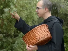 Monge colhe zimbro nas florestas que circundam o mosteiro de Leyre, em Navarra, Espanha.