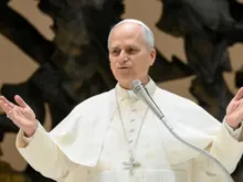 Papa Leão XIV na audiência geral de quarta-feira.