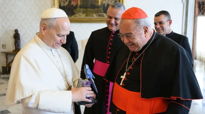 Papa Leão XIV recebe dom Orani Tempesta em audiência privada