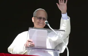 Papa Leão XIV saúda os peregrinos reunidos na praça de São Pedro, no Vaticano, para a oração do Ângelus em 25 de janeiro de 2026.