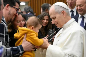 Papa Leão XIV em audiência geral. Imagem referencial.