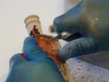 Garrafa com documento sobre o servo de Deus Valentín Rodríguez Cañas, sacerdote assassinado em 1936 “pelas hordas marxistas”.