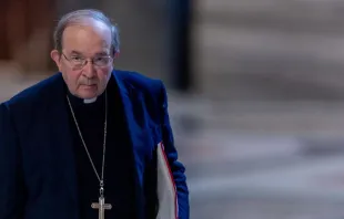 Cardeal Giuseppe Petrocchi.