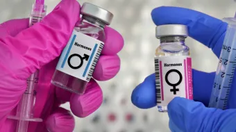 Hormônios. Imagem referencial.