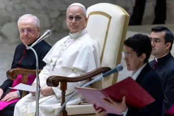 Papa Leão XIV em audiência geral na Aula Paulo VI, no Vaticano