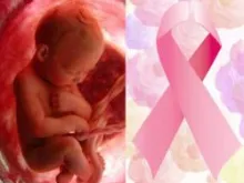 Estudos demonstram que o aborto aumenta o risco de câncer de mama em mulheres.